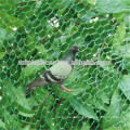 Handle Pet Bird capture Net